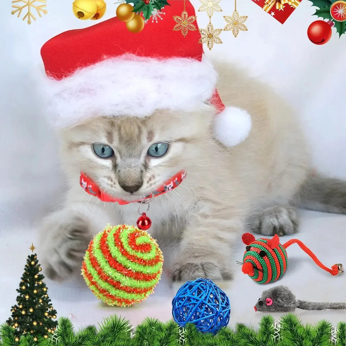 Calendrier de l’Avent CatNamic™ pour chatons