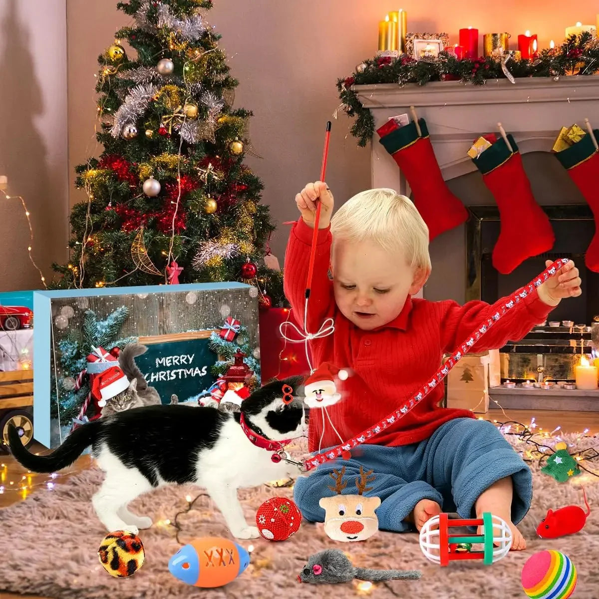 Calendrier de l’Avent CatNamic™ pour chatons